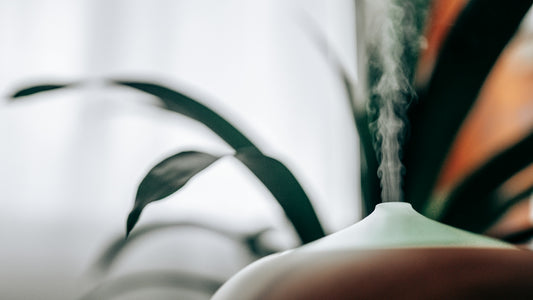 white and brown humidifier
