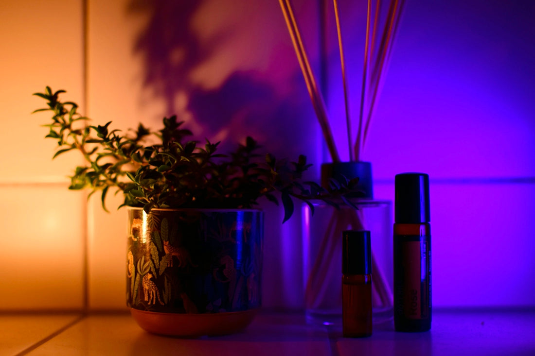 a couple of vases with plants in them