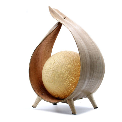 Lampe de noix de coco naturelle - Enveloppe naturelle