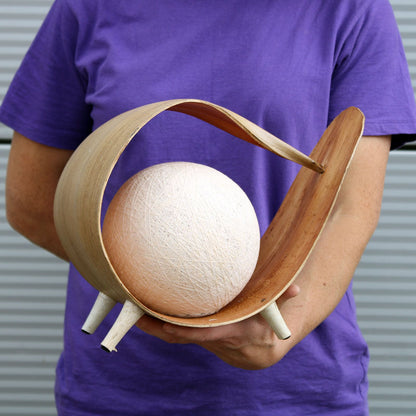 Lampe de noix de coco naturelle - Enveloppe naturelle
